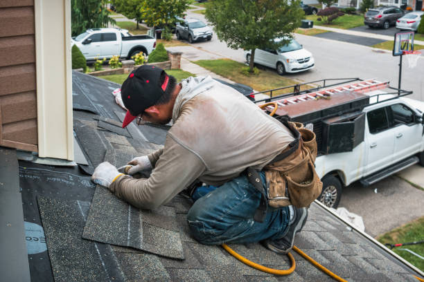 Professional Storm Damage Roof Repair technician working in Ovid, NY